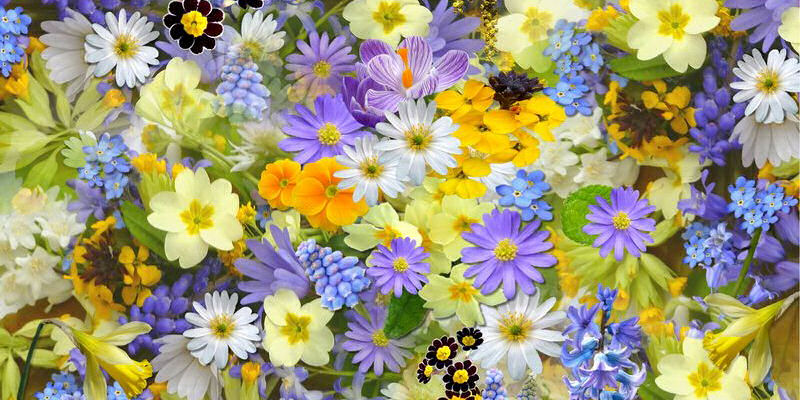 Local image of Stratford on Avon